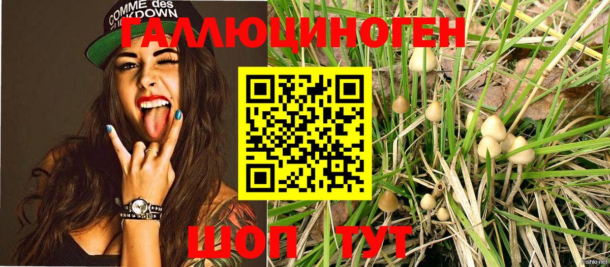 Галлюциногенные грибы Magic Shrooms  Вход с VPN  Сатка 